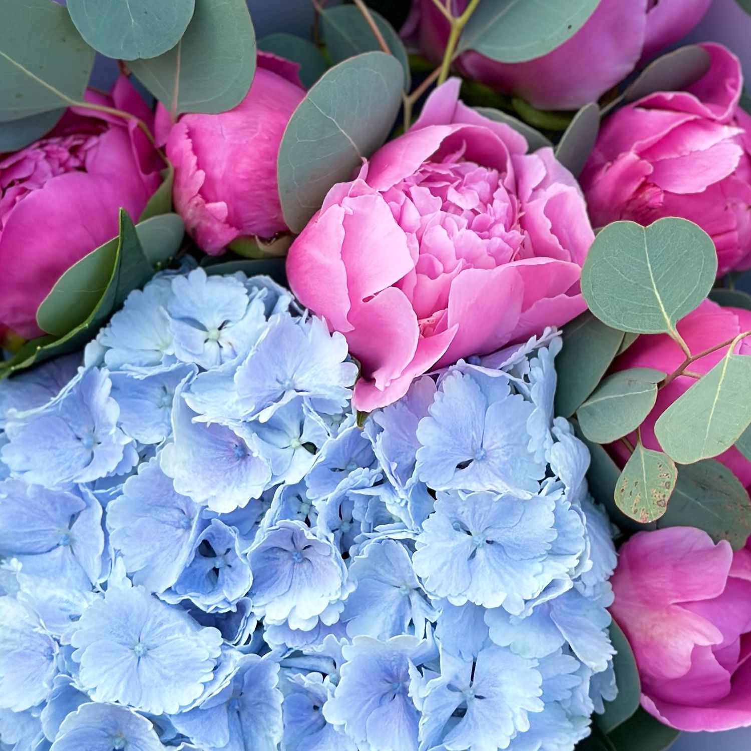 hydrangea, peony (7 pcs.), eucalyptus, packaging, ribbon
