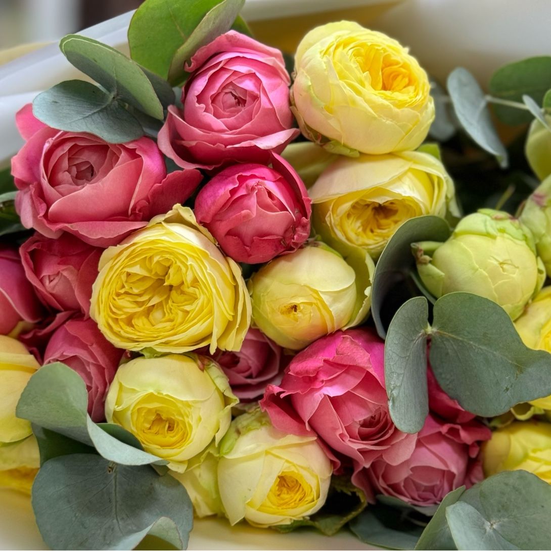 yellow rose, rose silva, pink bubbles, eucalyptus, packaging, ribbon