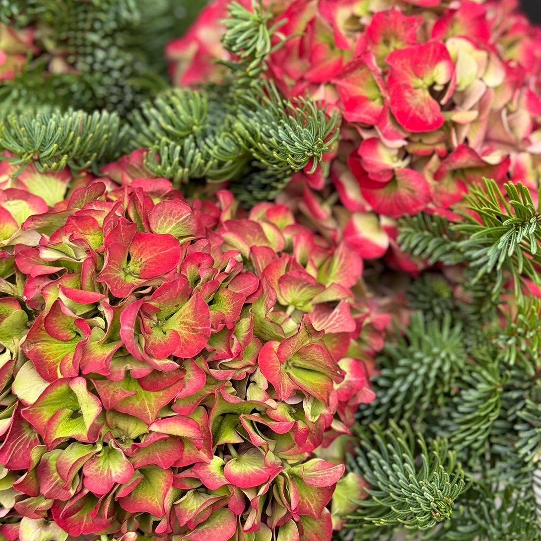 Bouquet Winter lights