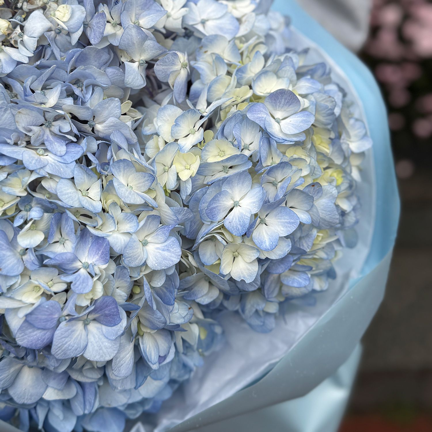 Bouquet Bouquet of blue hydrangeas 7pcs