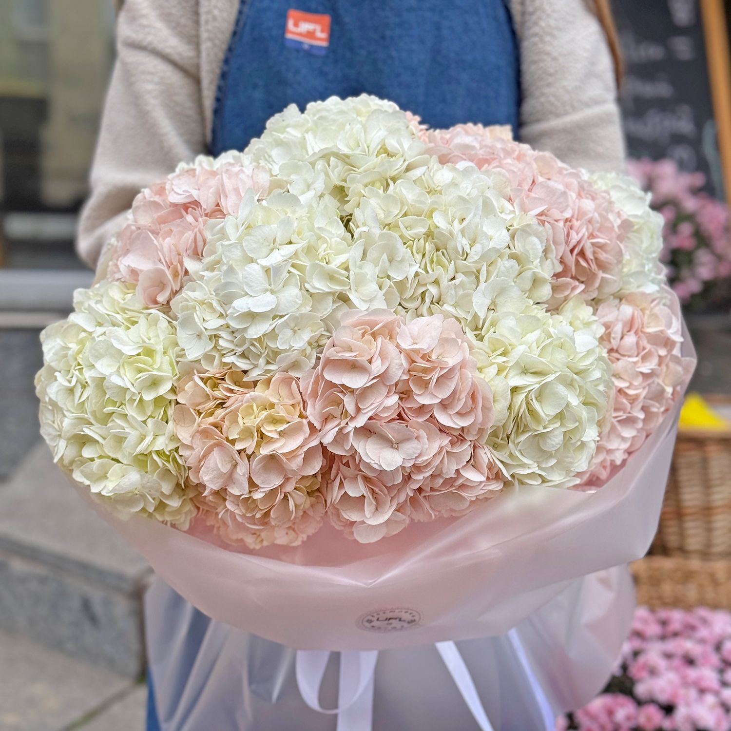Bouquet Tender cloud of hydrangeas 15 pcs