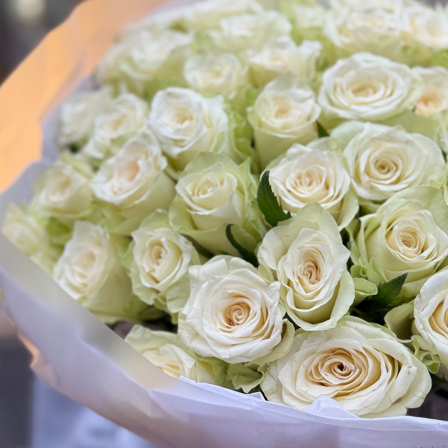 Bouquet 51 white roses Kenia