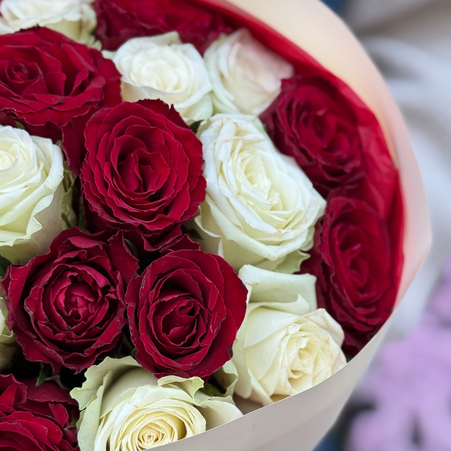 Bouquet  25 red and white roses Kenia