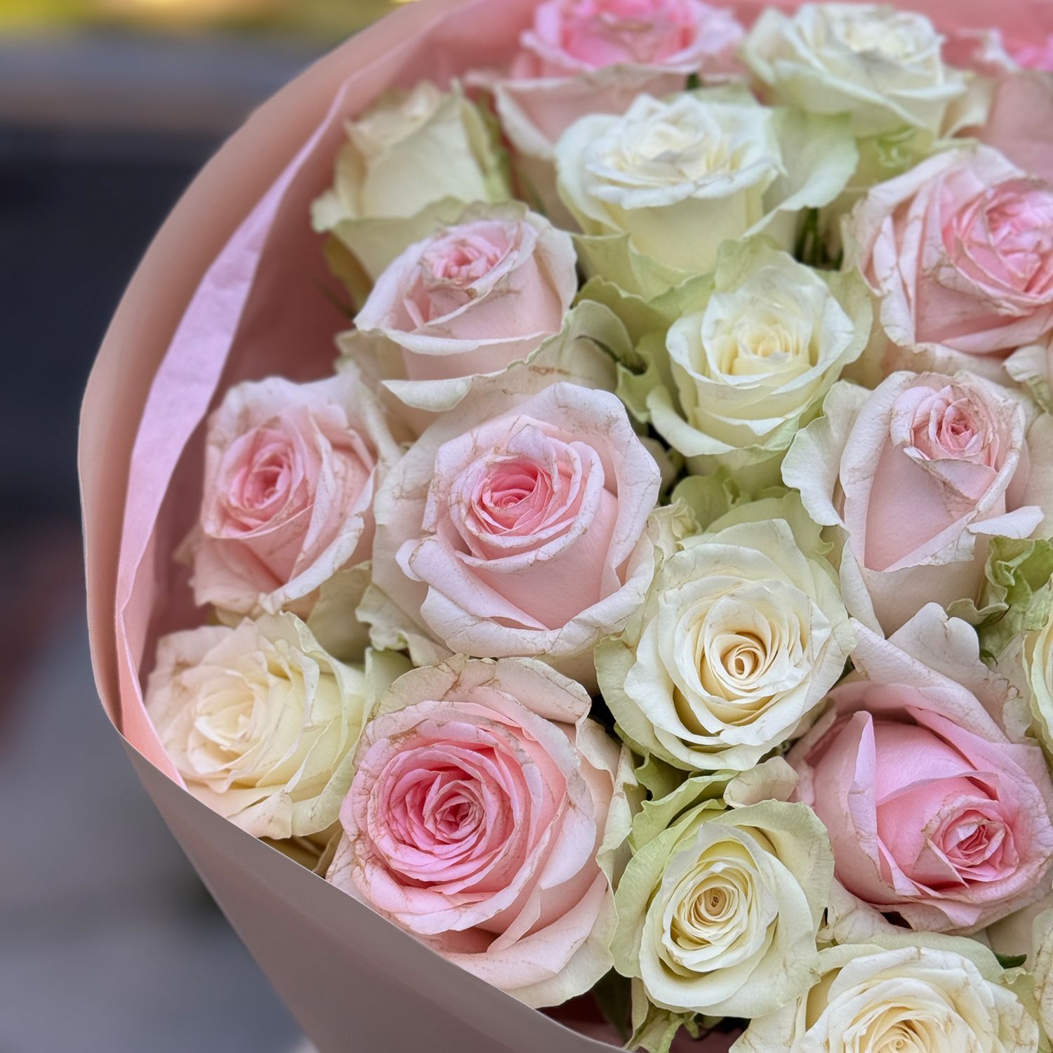 Bouquet  25 pink and white roses Kenia