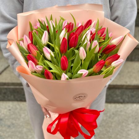 Bouquet 51 red and pink tulips