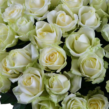 Bouquet mmense tenderness