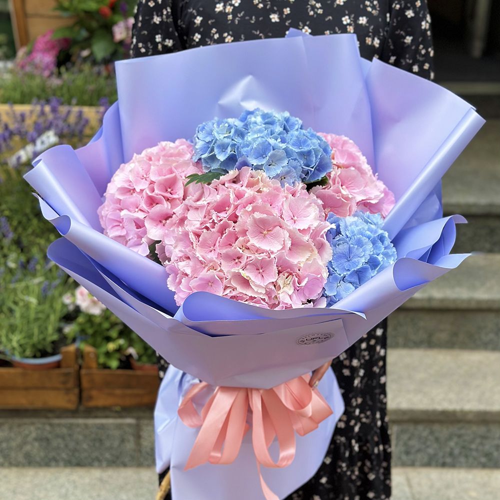 Bouquet 5 hydrangeas