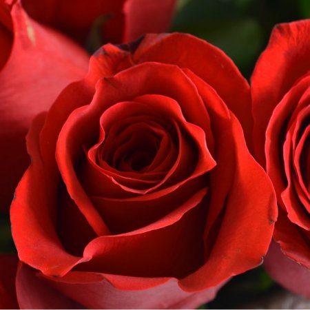 Bouquet 51 premium roses + balloon