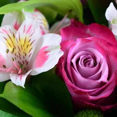 Order the bouquet in our online shop. Delivery!