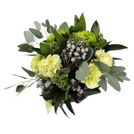 brunia, carnation (4 pcs.), single-headed chrysanthemum, skimmia, packaging, ribbon