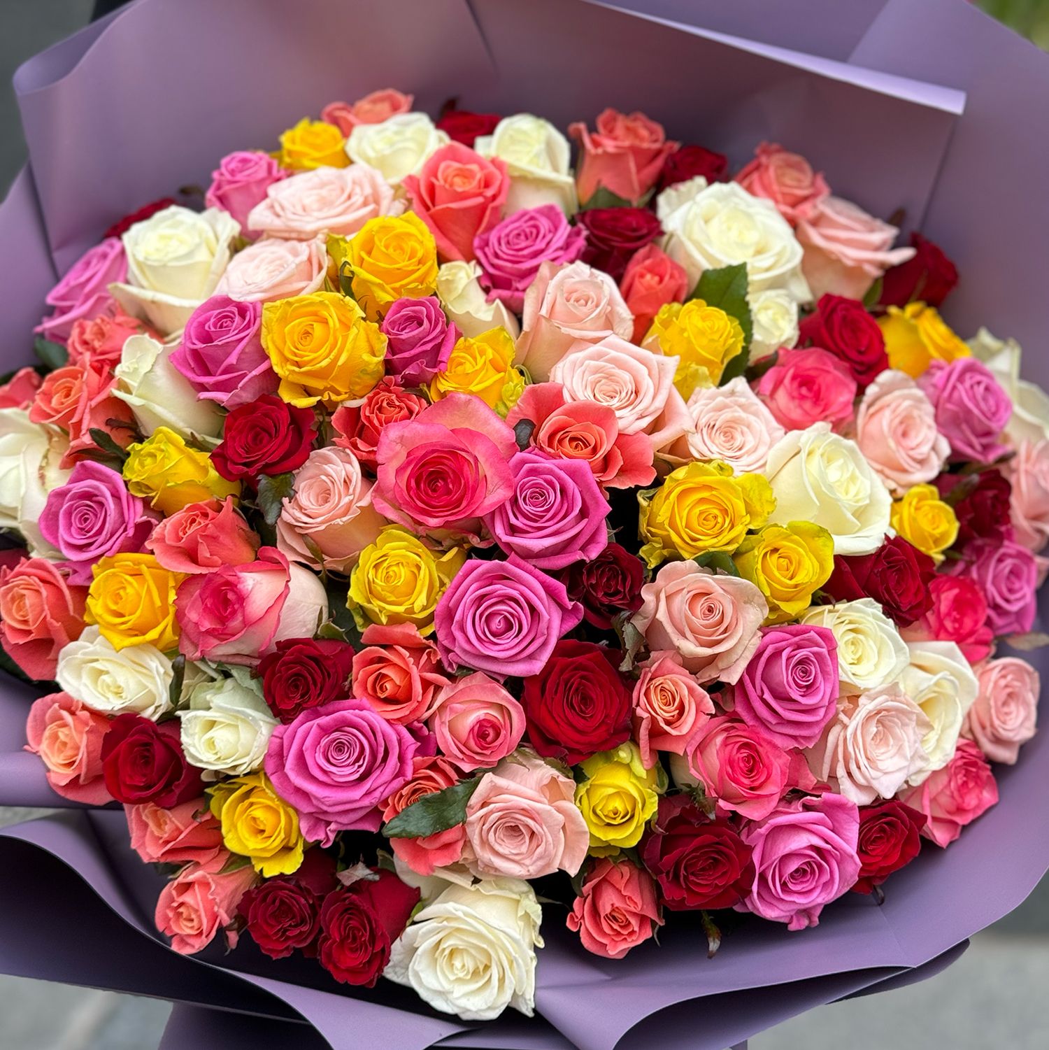 rose (101 pcs.), packaging, ribbon