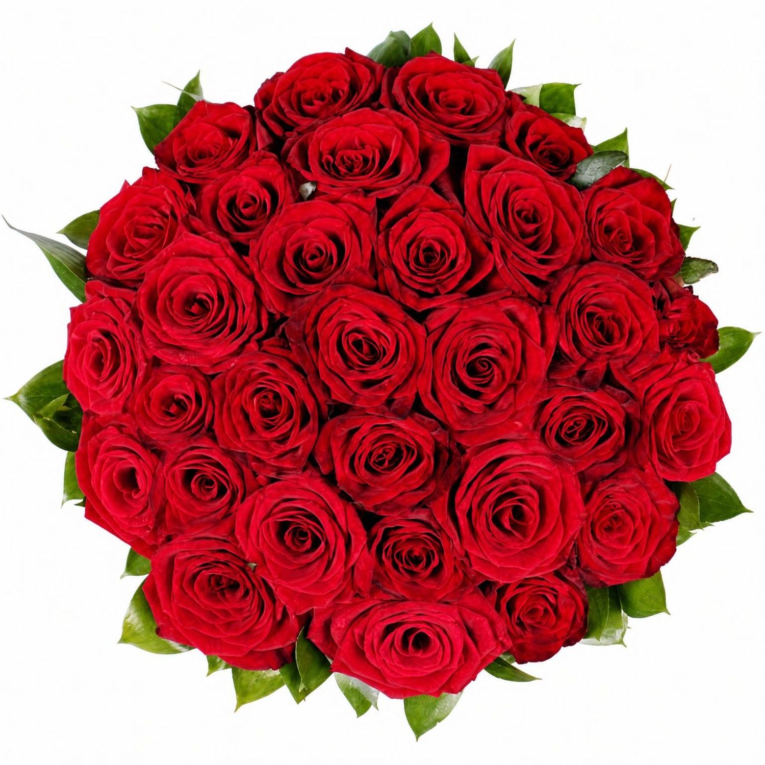 rose (31 pcs.), oasis, box, packaging, ribbon