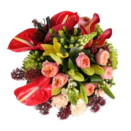 anthurium, calla lily, vuvuzela rose (7 pcs.), ornithogalum, lily, carnation, skimmia, packaging, ribbon