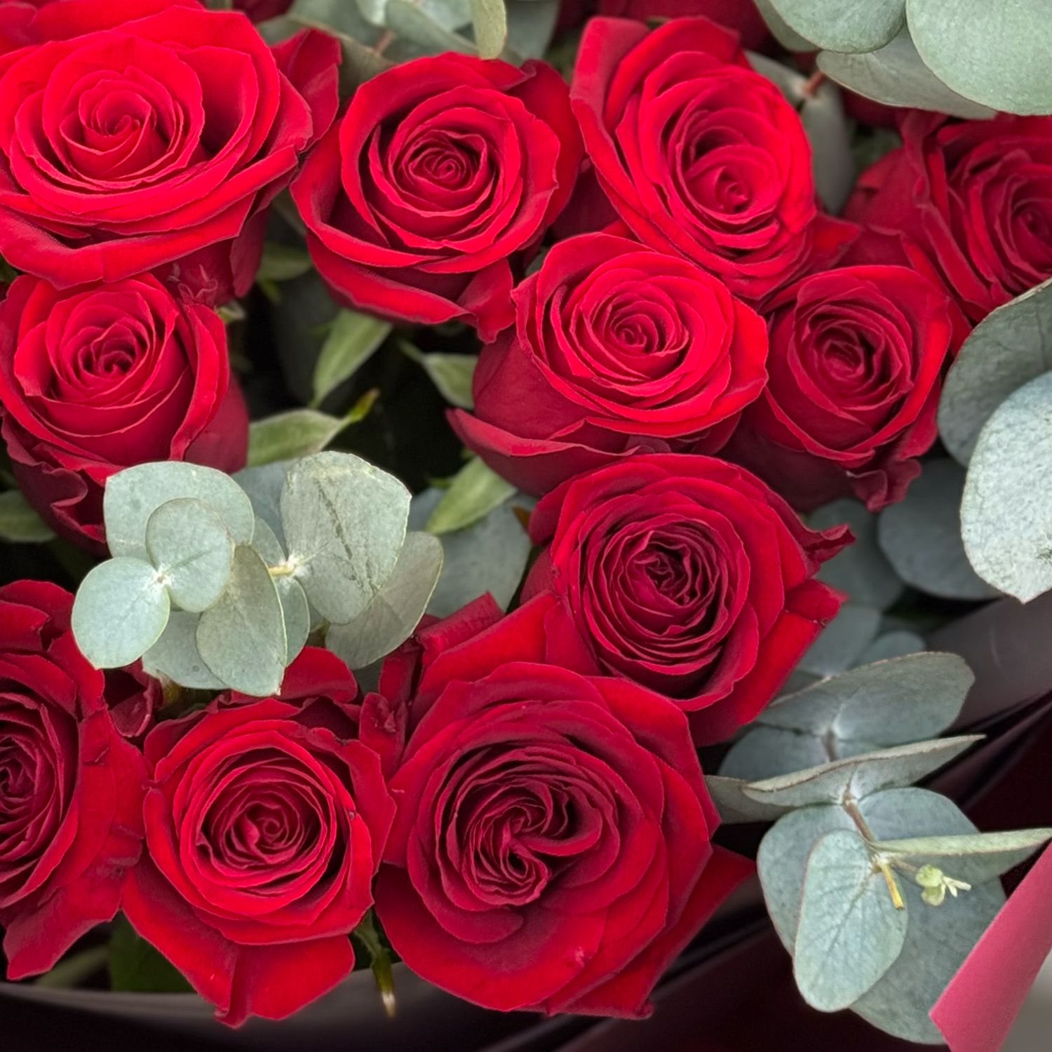 rose (21 pcs.), packaging, ribbon