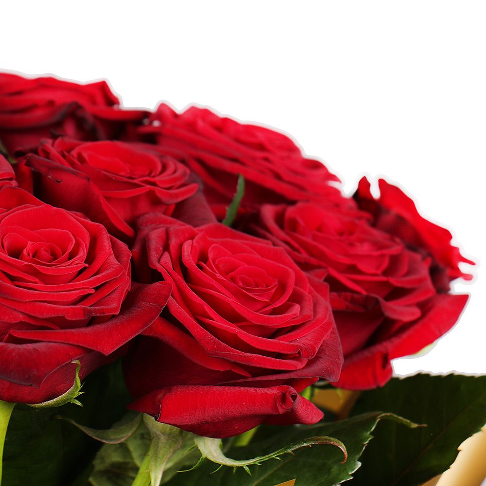 Bouquet 21 roses Krivoy Rog