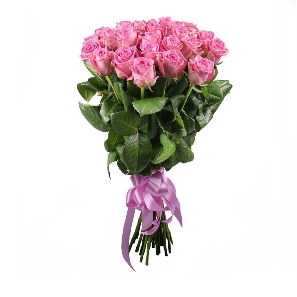 pink rose (25 pcs.), packaging, ribbon