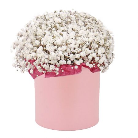 Bouquet Baby's breath in a box