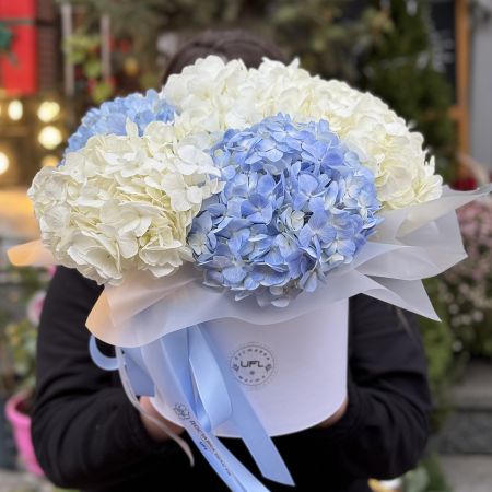 Bouquet Tender hydrangeas in a box